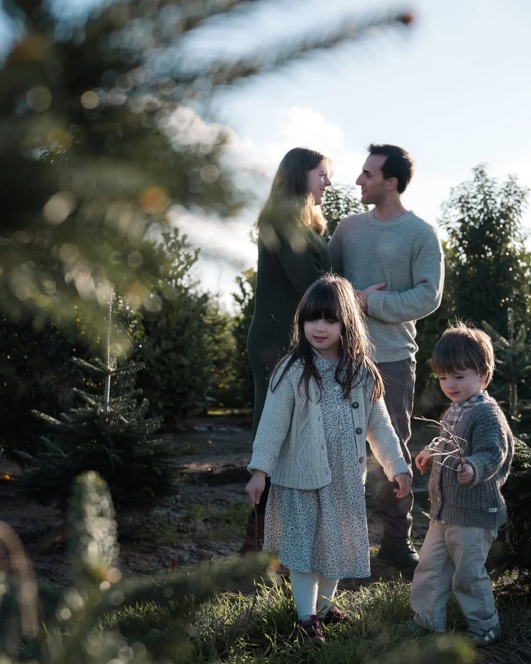 Weihnachtliches Mini Weihnachtsshooting  auf dem Weihnachtsbaumfeld von Peter Paulsen