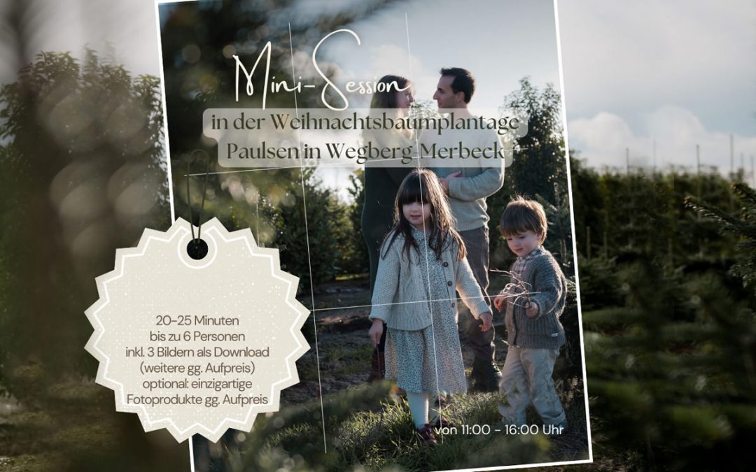 Weihnachtsshooting auf Weihnachtsbaumplantage | Outdoor