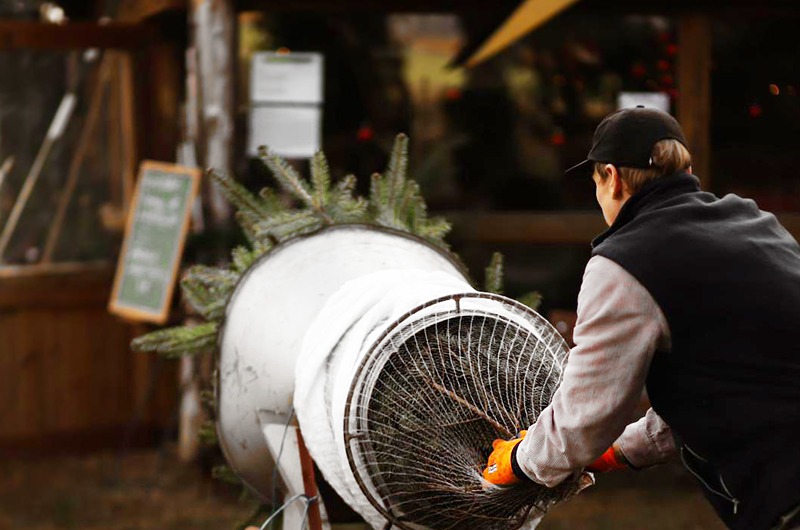 Weihnachtsbaum kaufen bei Peter Paulsen in Wegberg Merbeck | Ihr Partner für Gartenanlagen